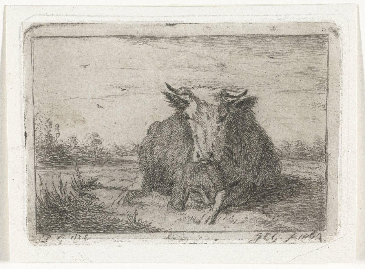 Liggande ko sedd framifrån av Jacobus Cornelis Gaal