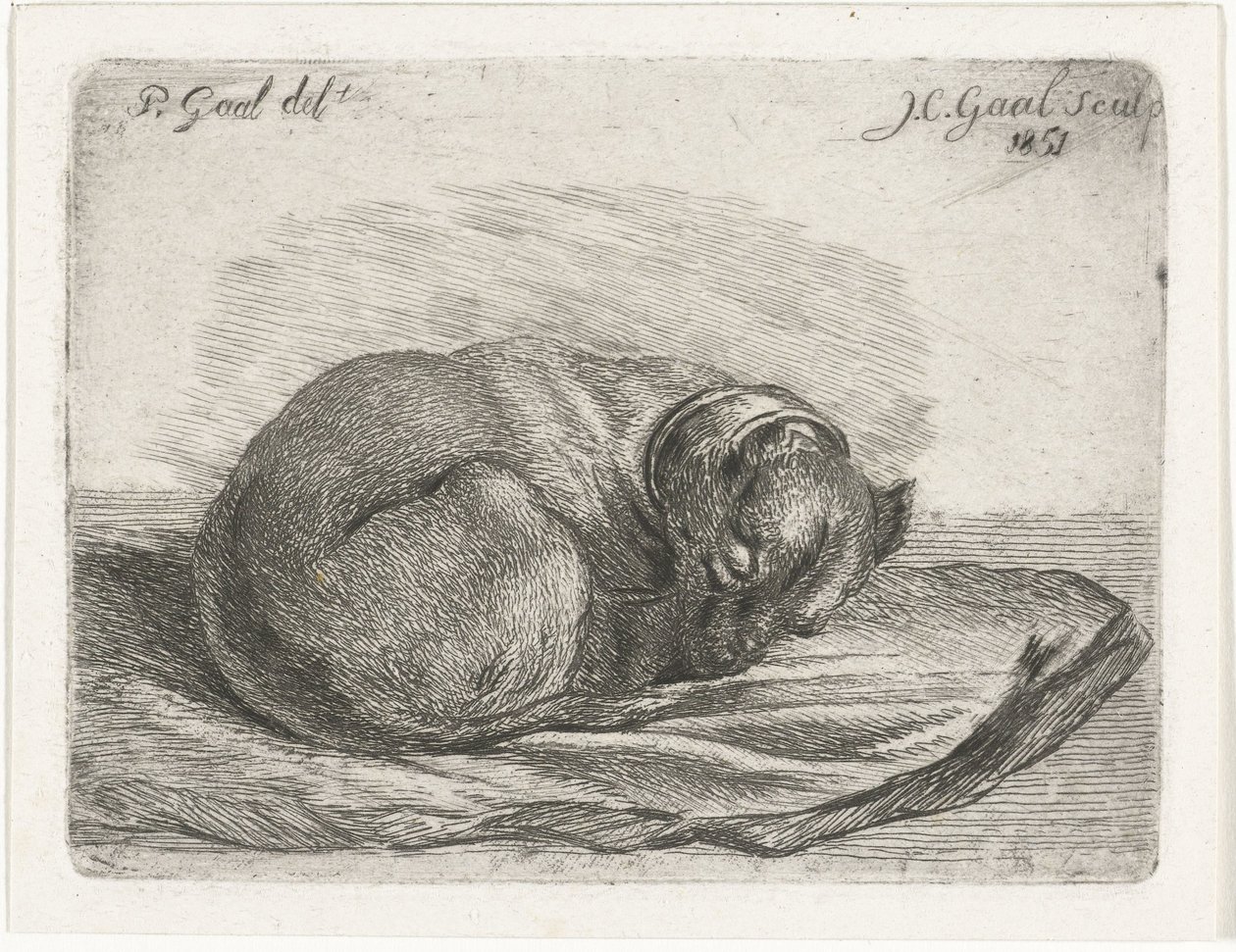 Sovande hund, liggande på en filt av Jacobus Cornelis Gaal