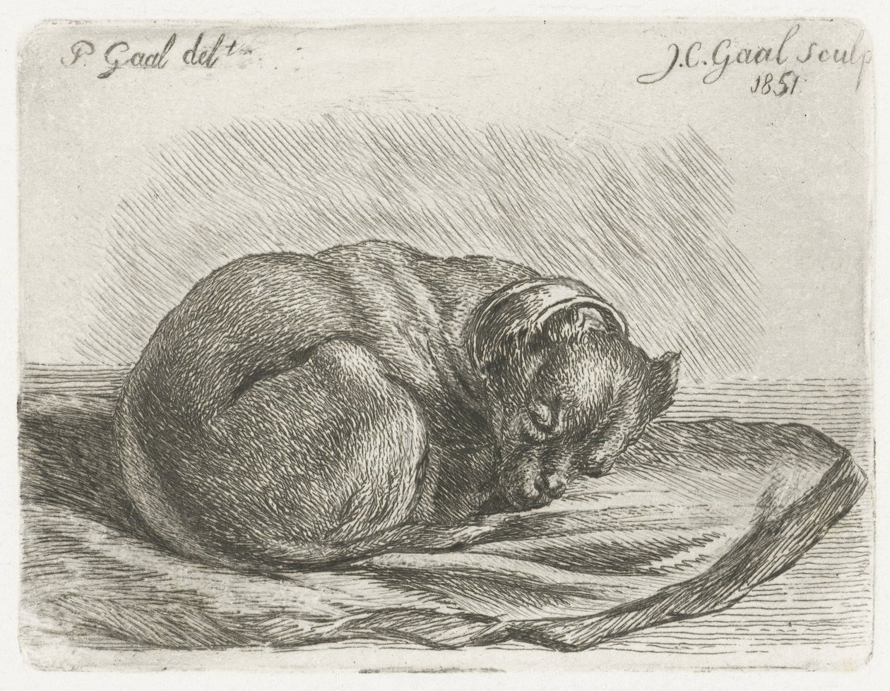 Sovande hund, liggande på en filt av Jacobus Cornelis Gaal