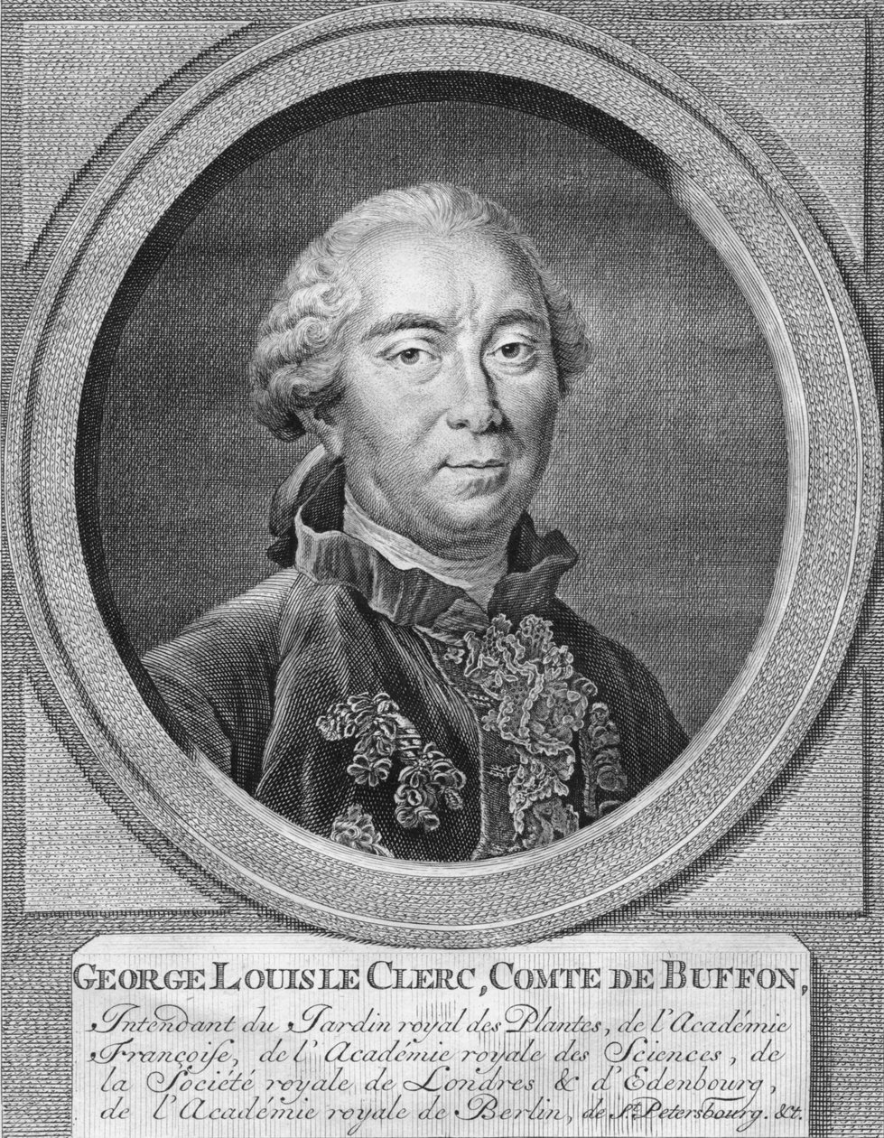George Louis Leclerc, greve De Buffon, 1774. av Jacobus Houbraken