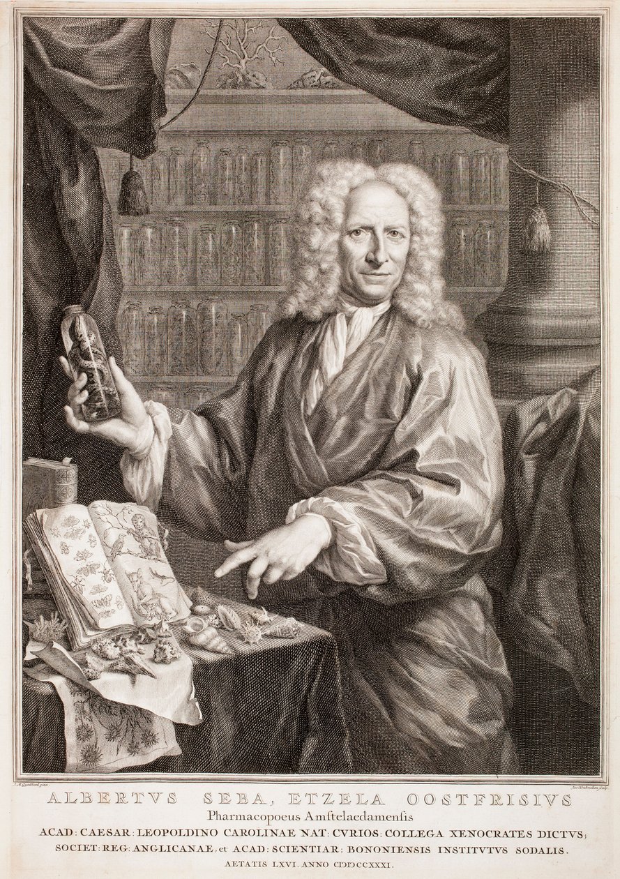 Porträtt av Albertus Seba, efter Jan Maurits Quinkhard av Jacobus Houbraken