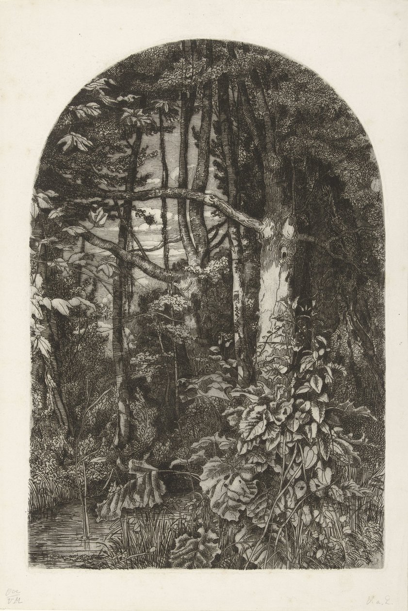 Skog med bäck av Jacobus Ludovicus Cornet