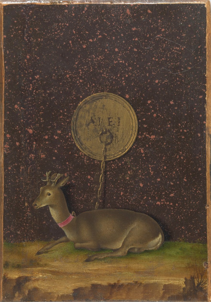 Porträtt av Alvise Contarini(); (a tergo) En tjudrad råbock av Jacometto Veneziano