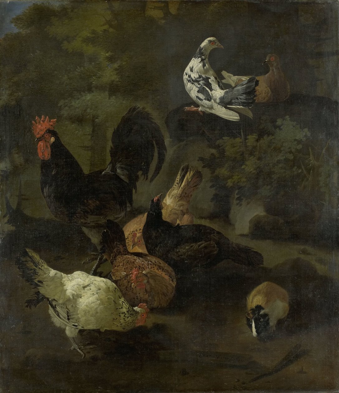 En hane, höns, duvor och en murmeldjur av Jacomo Victors