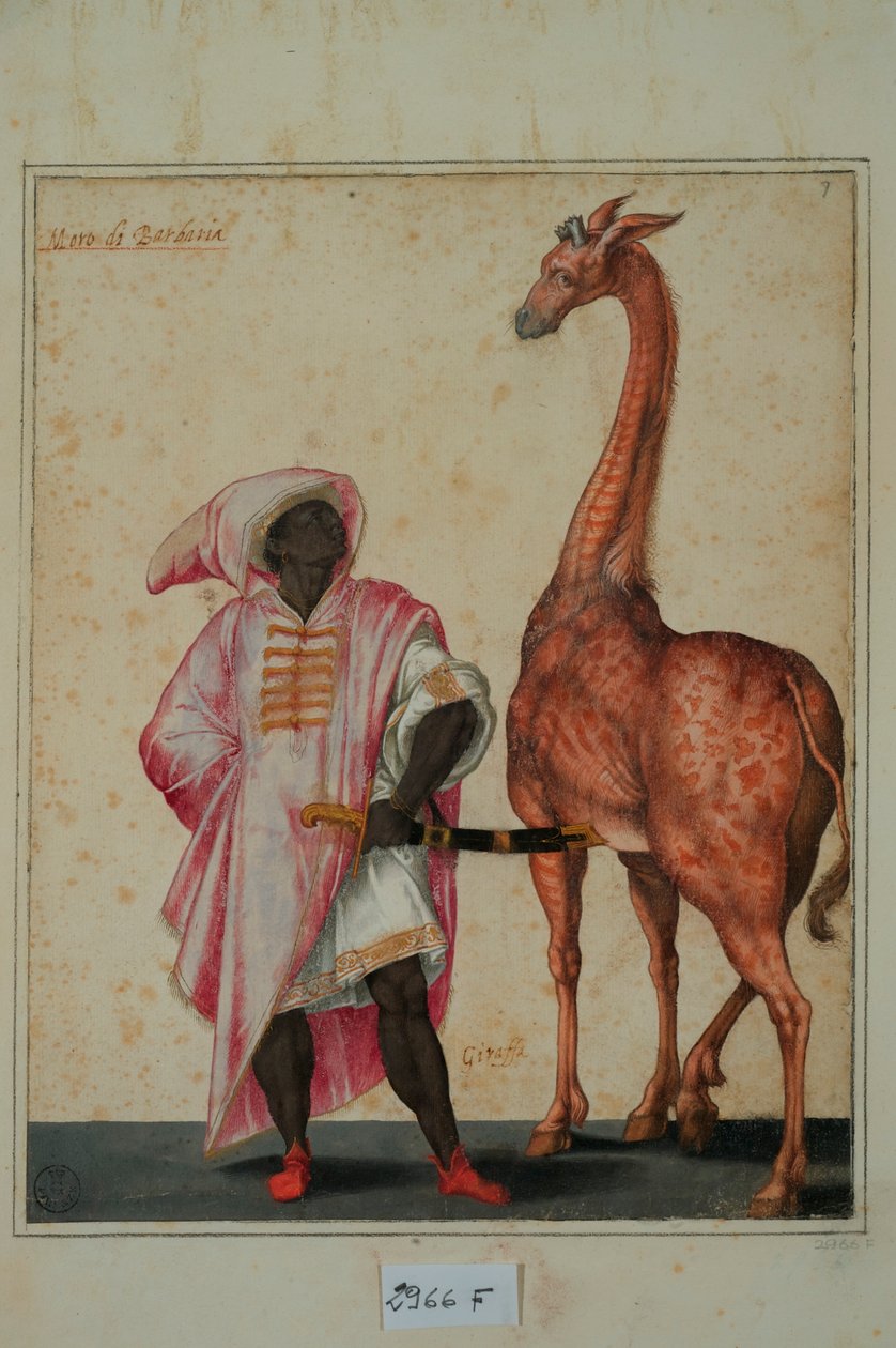 Berber med en giraff (tempera på papper) av Jacopo Ligozzi