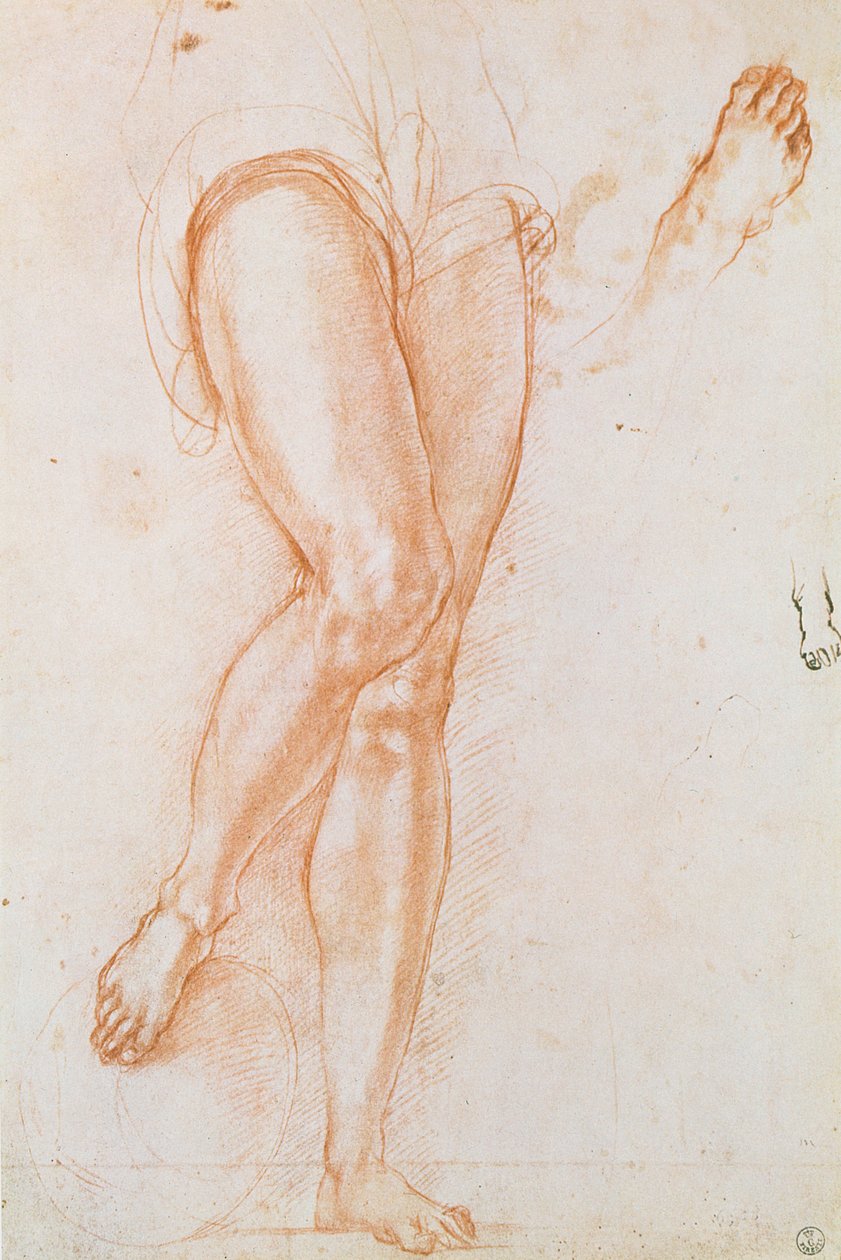 Studie av ett par ben och två fötter till en Mikaelsfigur (rödkrita med penna och bläck) av Jacopo Pontormo