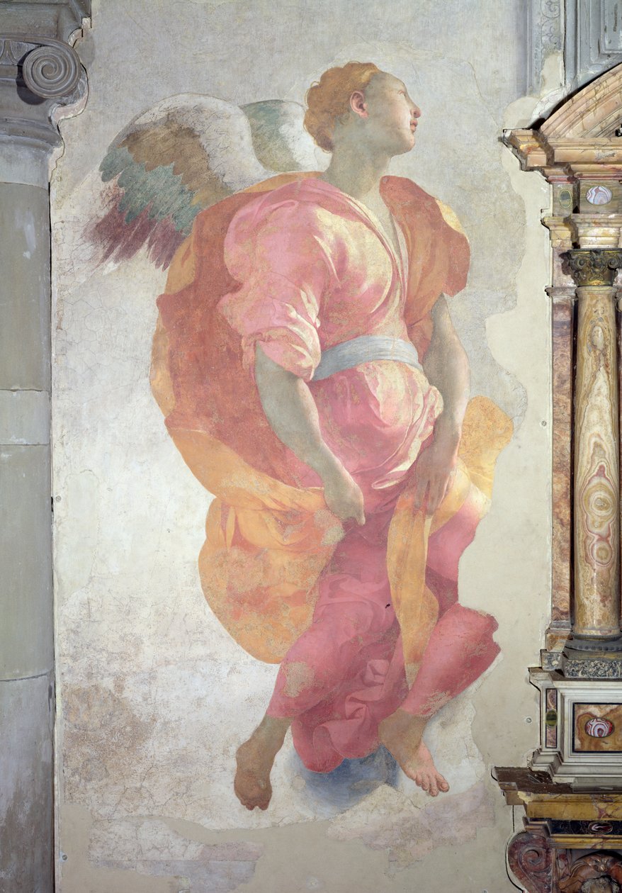 The Visitation, detalj av en ängel till vänster om altaret, 1528-30 fresk av Jacopo Pontormo
