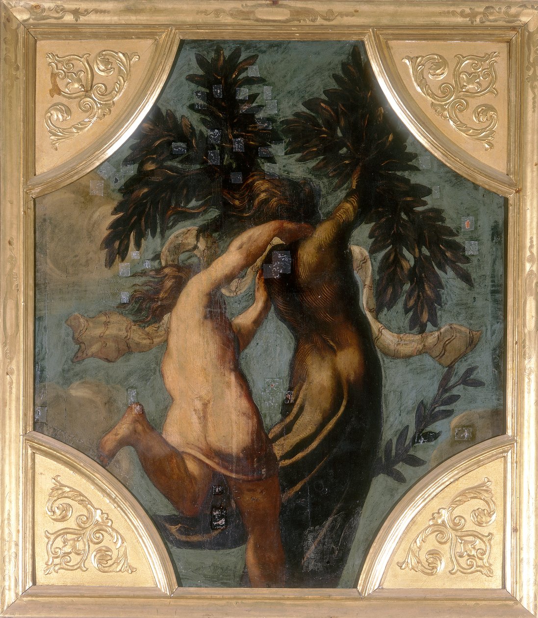 Apollo och Daphne, oktagon av Jacopo Robusti Tintoretto