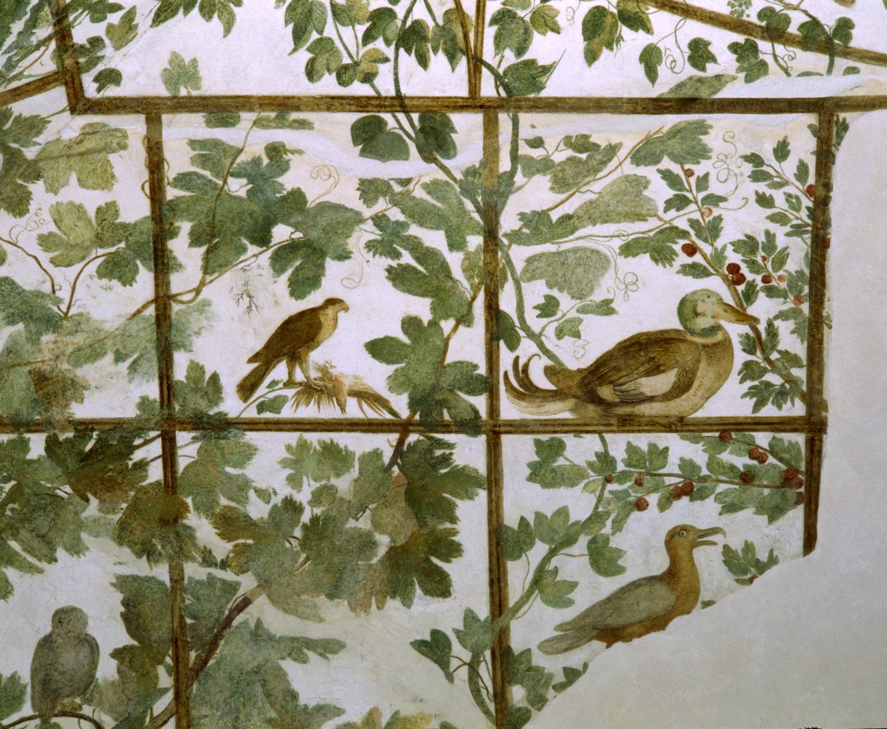 Fresk av en voljär i Villa Medici, ca 1576-77 av Jacopo Zucchi