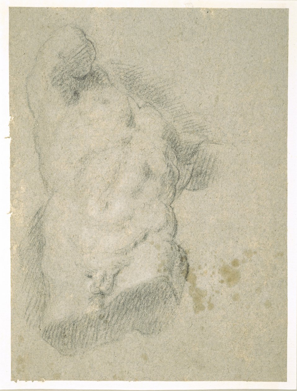 Ritning av en manlig torso (kol på blått papper) av Jacopo Bassano
