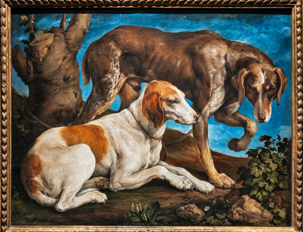 Porträtt av två hundar bundna till en stock av Jacopo (1510 92) Bassano