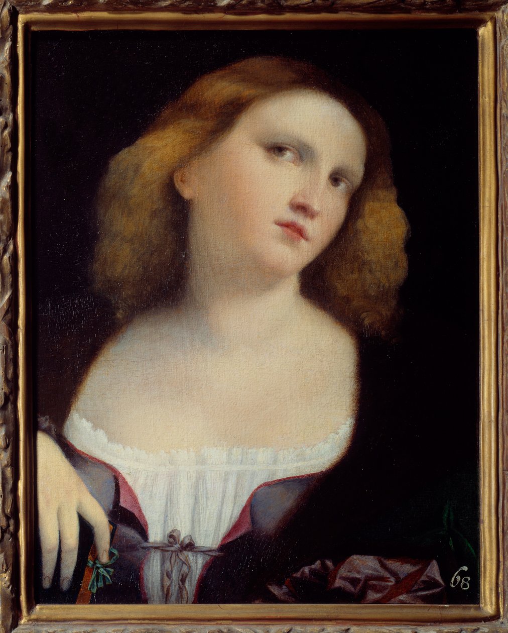 Porträtt av kvinna målning på trä transponerad på duk av Jacopo Palma il Vecchio (1480-1528) 1513 Dim. 0,48 x 0,38 m Lyon, Musee des Beaux Arts av Jacopo (c.1480 1528) Palma