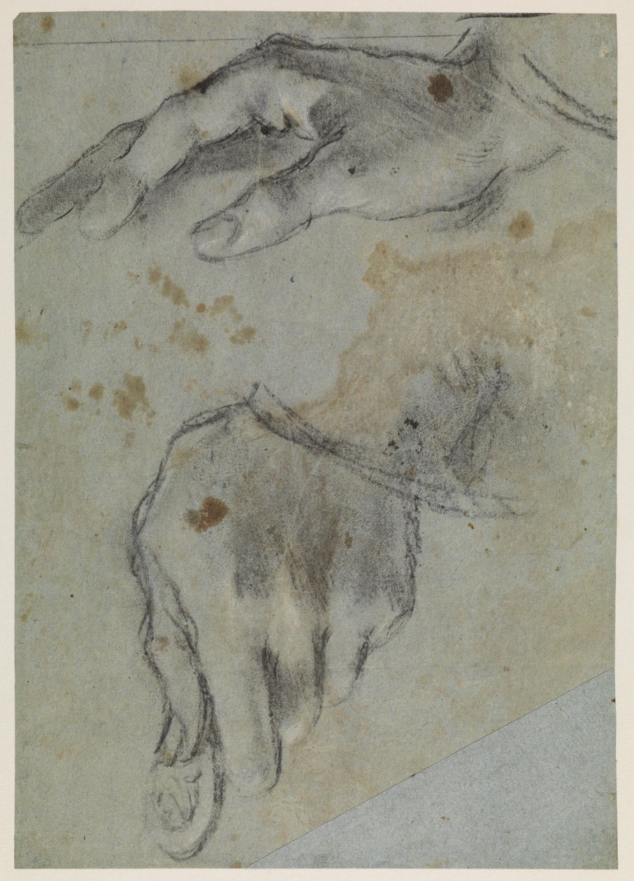 Studier av händer, recto, 1500-talet av Jacopo Bassano