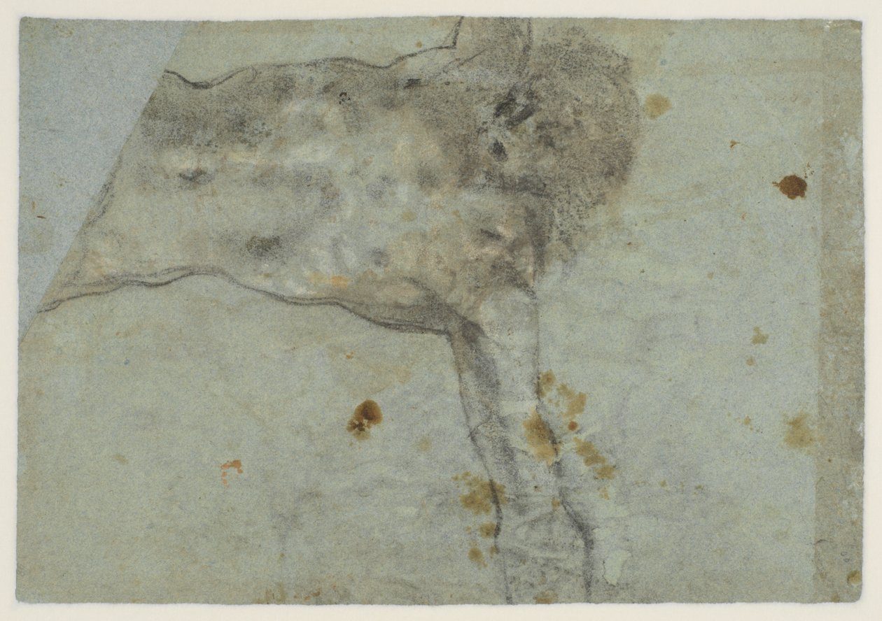 Studie av en korsfäst Kristus, verso, 1500-talet av Jacopo Bassano