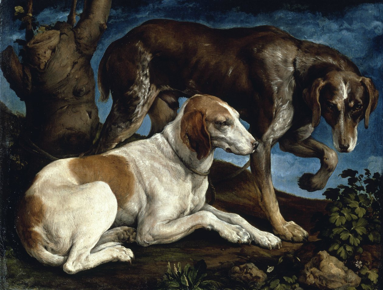 Två jakthundar, 1548-1549. av Jacopo Bassano il vecchio