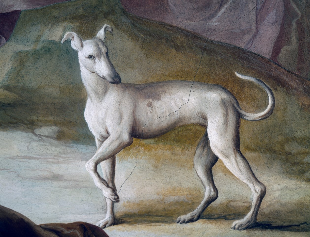 Hund, detalj från fresk av Jacopo Guarana (1720-1808), centralhallen i Villa Contarini, Valnogaredo, Veneto, Italien av Jacopo Guarana