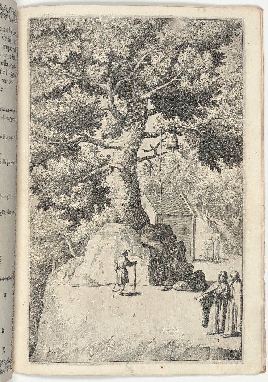 Bokträd med klockan (Faggio della campana) [skylt X] av Jacopo Ligozzi