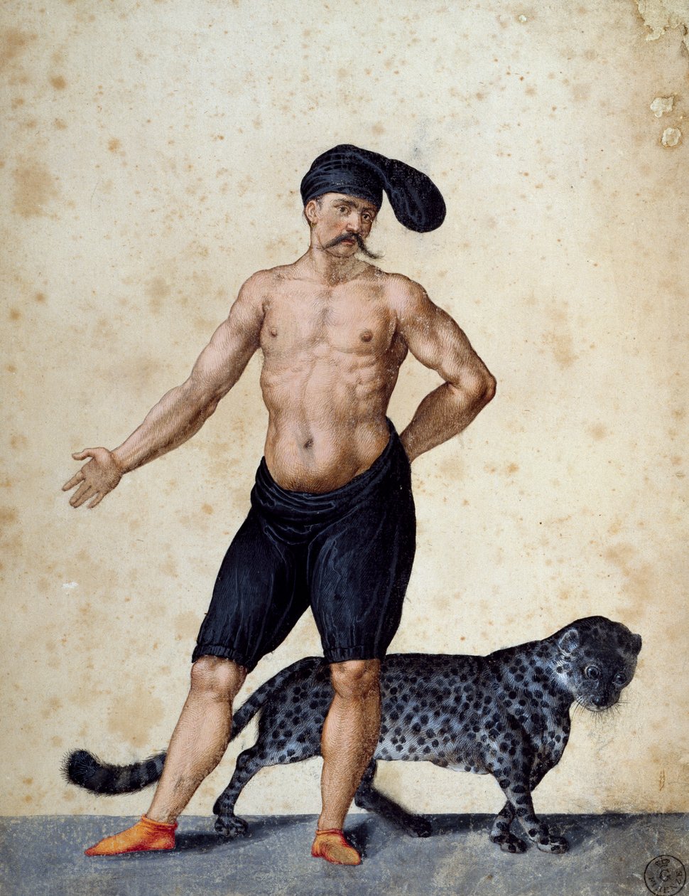 Unga afrikansk man står längst fram, halvklädd med lång berretta (mössa) på huvudet, med en tiger bakom sig, teckning av Jacopo Ligozzi (1547-1627). av Jacopo Ligozzi