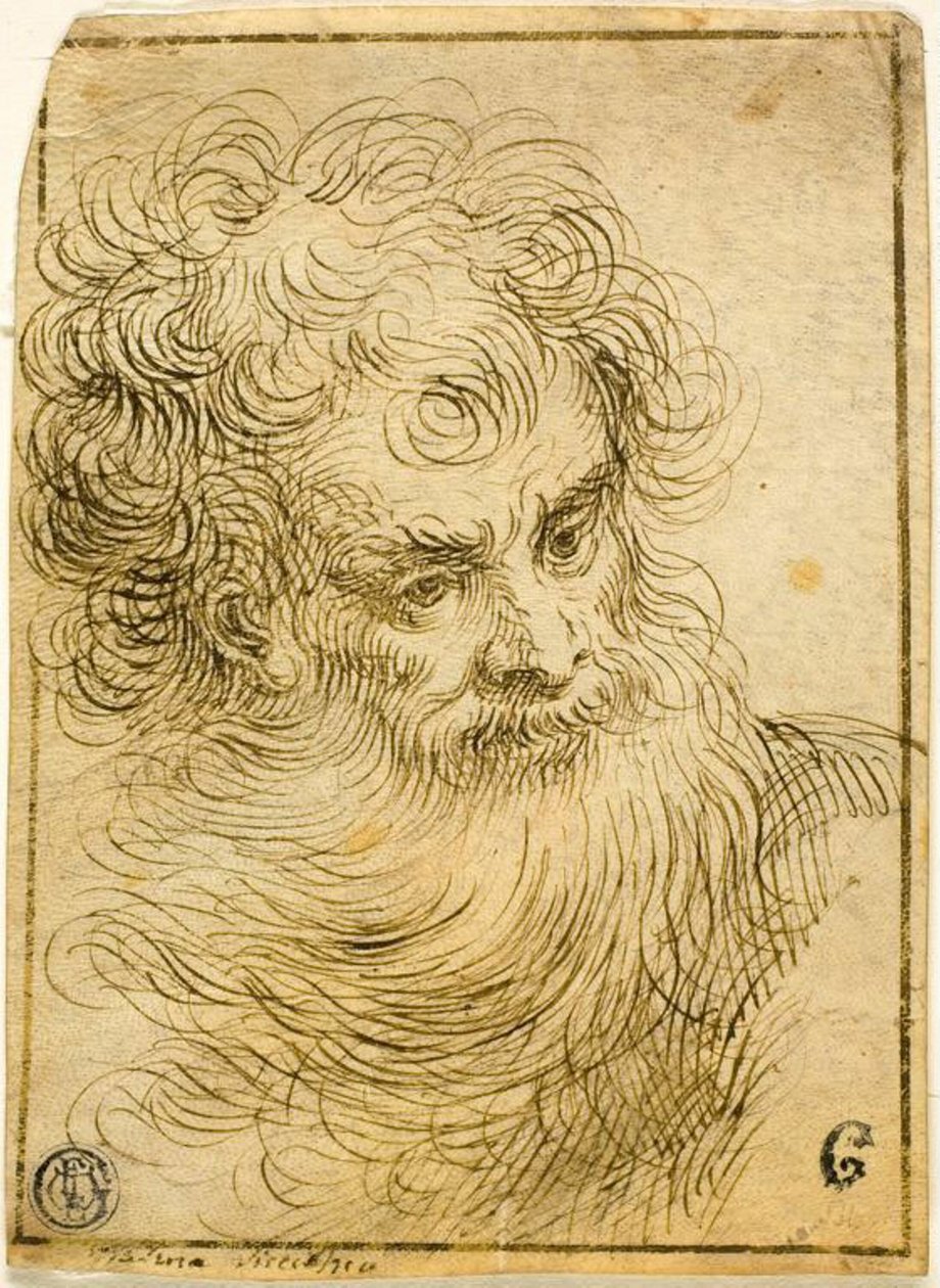Head of Bearded Old Man (recto); Dekorativ skiss av blommor och löv (verso) av Jacopo Palma il Giovane
