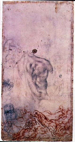 Studie till ett porträtt av Cosimo I Giovinetto med andra studier av vrida kroppar (svart och röd krita på papper) av Jacopo Pontormo