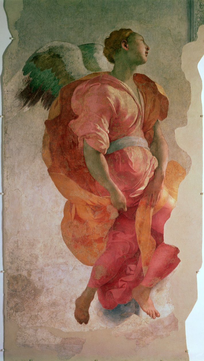 Bebådelsen, detalj av en ängel, ca 1527 freskdetalj av 57520, se även 94965 av Jacopo Pontormo