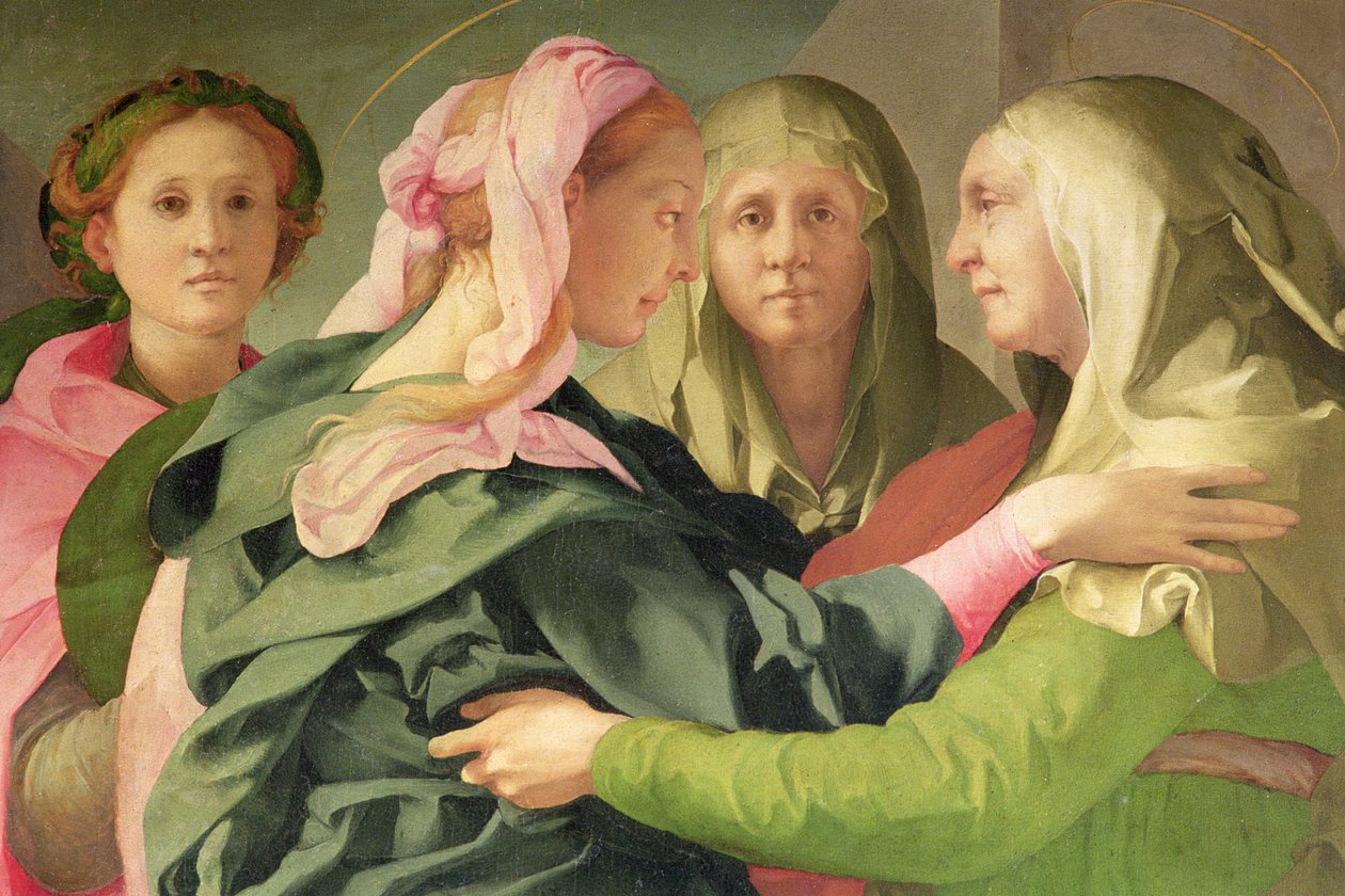 Besöksinformationen för 60438 av Jacopo Pontormo