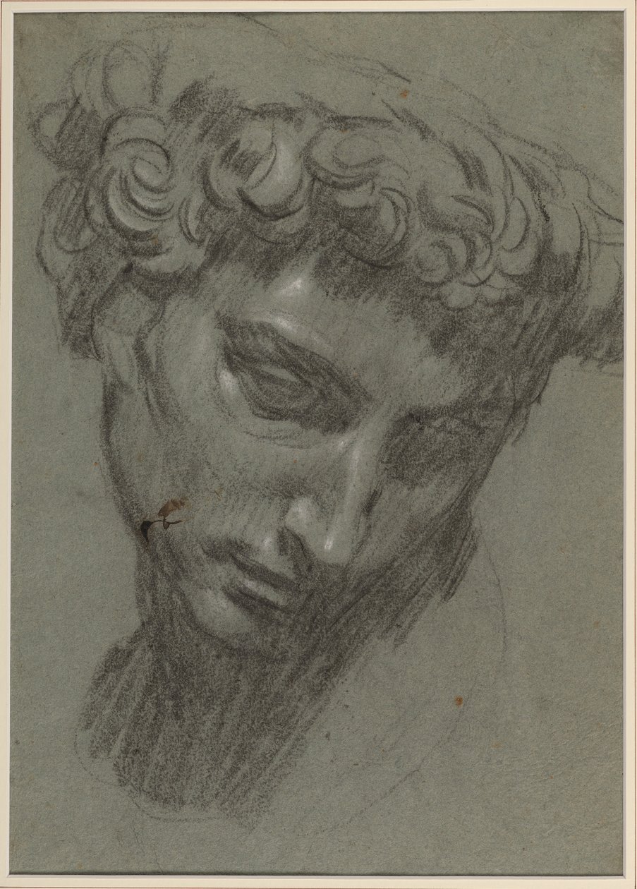 Porträtt av Giuliano de’ Medici, efter Michelangelo (recto) (svartvit krita på blått papper) av Jacopo Robusti (workshop of) Tintoretto