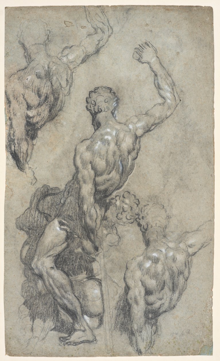 Studier av Michelangelos "Samson och filistéerna", c.1575–85 (krita, kol, gouache, papper) av Jacopo Robusti (workshop of) Tintoretto