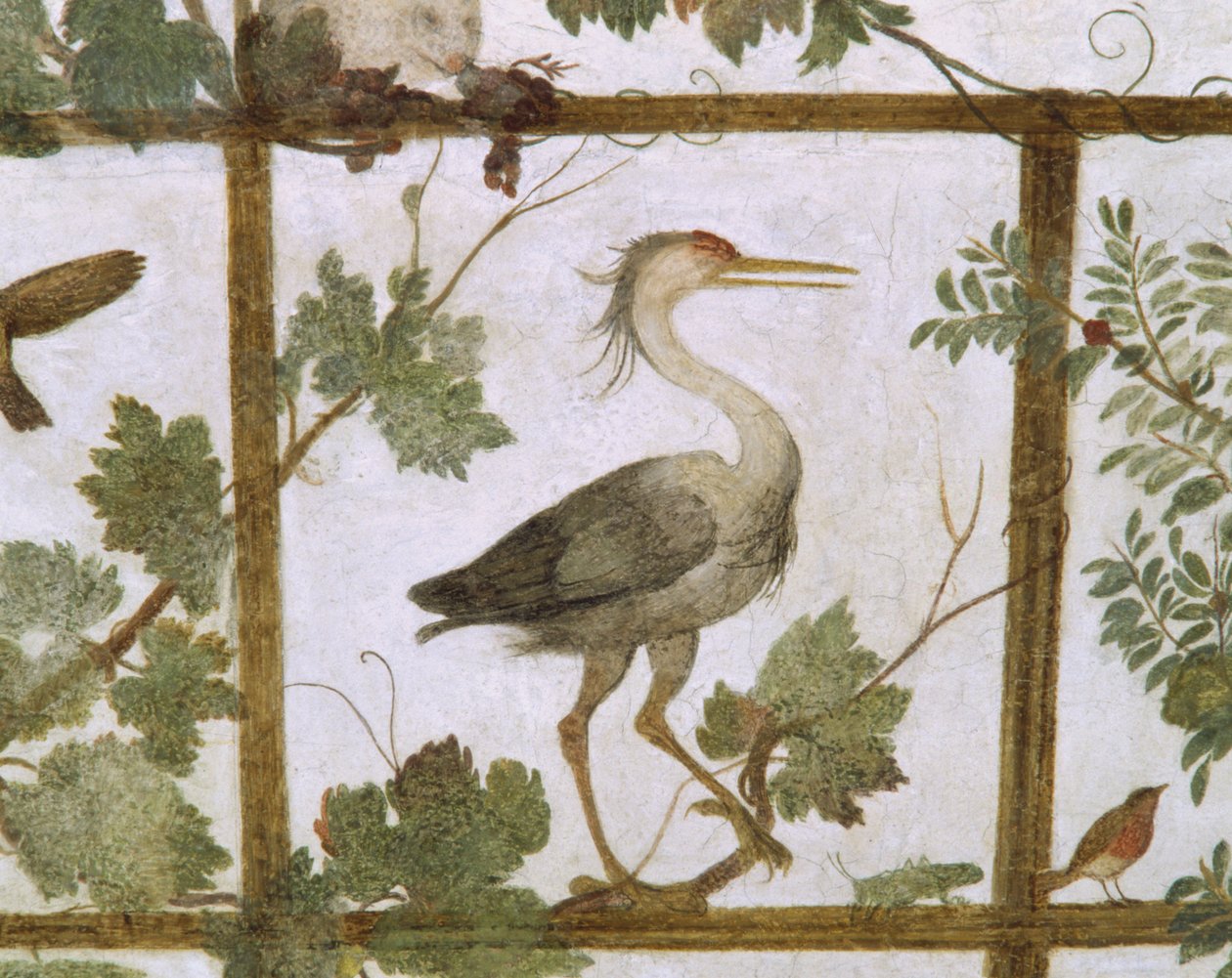 Ibis, från en fresk av en voljär i Villa Medici, ca 1576-77 av Jacopo Zucchi