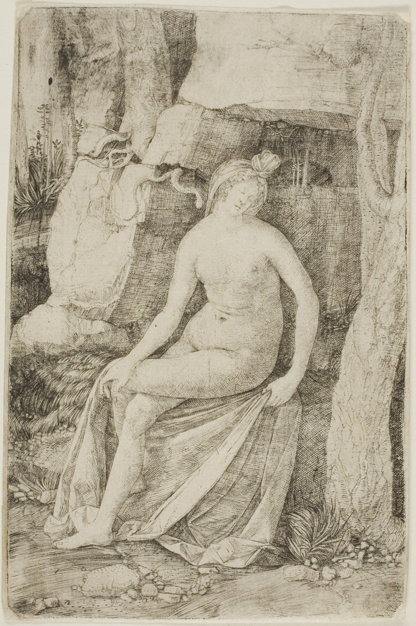 Kleopatra av Jacopo de