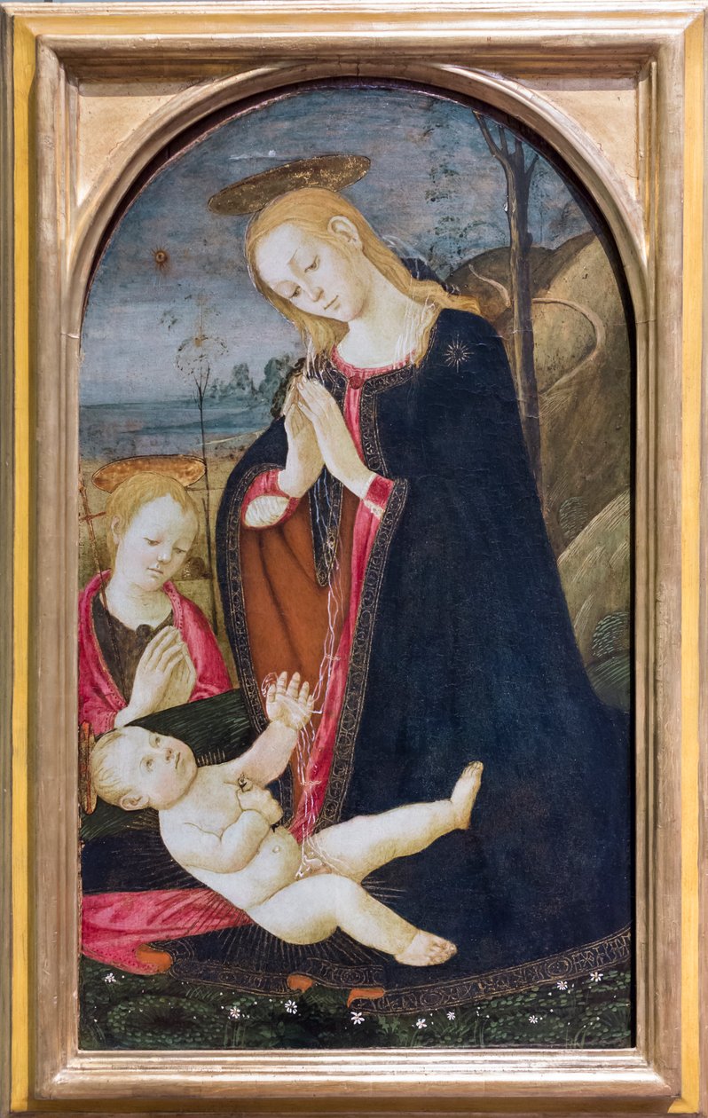 Tillbedjan av Kristus med den unge Johannes Döparen av Jacopo del Sellaio