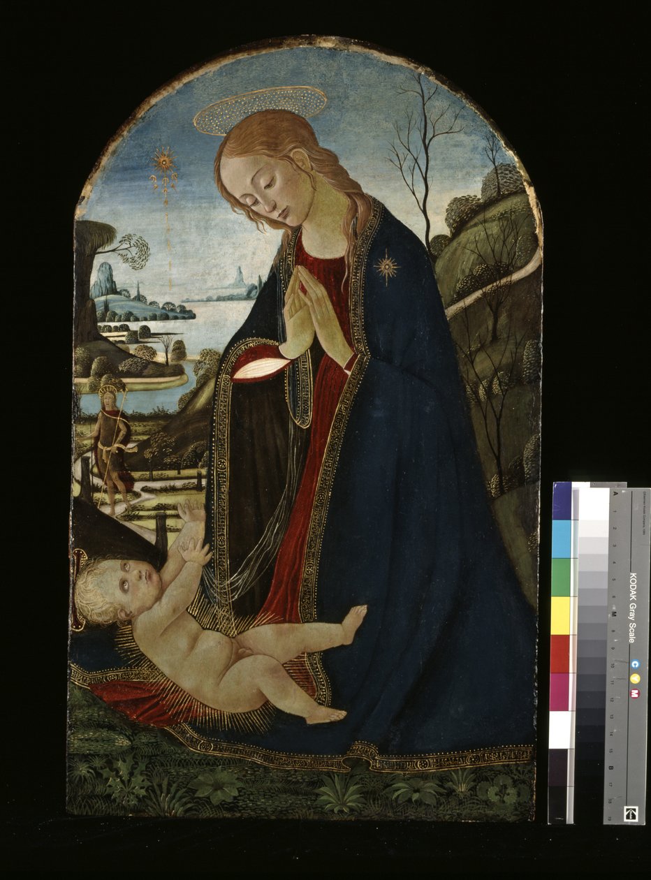 Madonna Adoring The Christ Child (olja på trä) av Jacopo del Sellaio