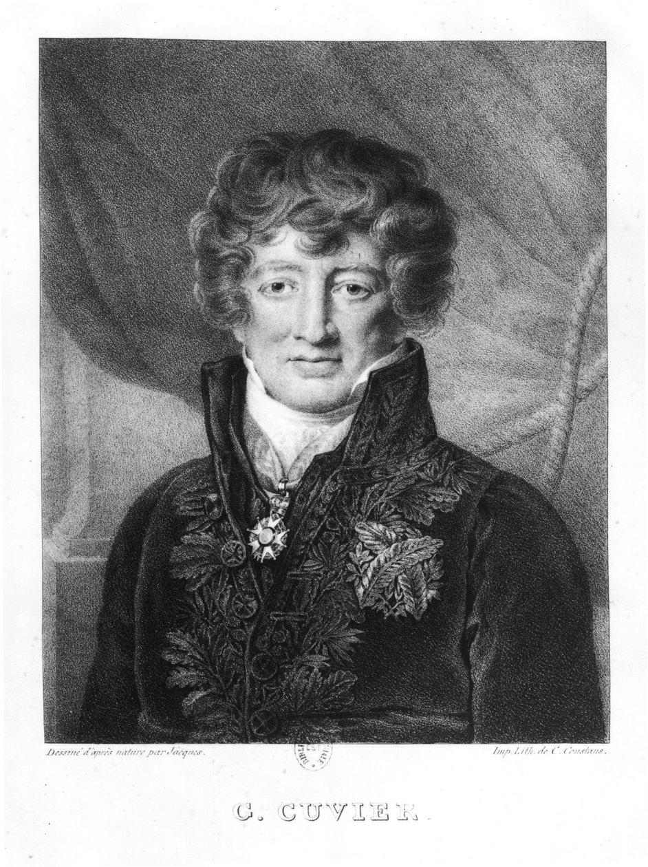 Porträtt av Georges Cuvier (1769-1832) av Jacques