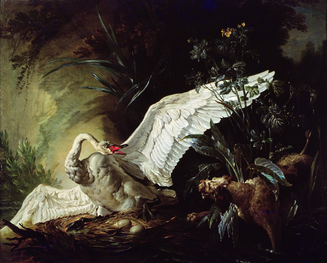 En vattenspaniel attackerar en svan på sitt bo, 1740 av Jacques Charles Oudry