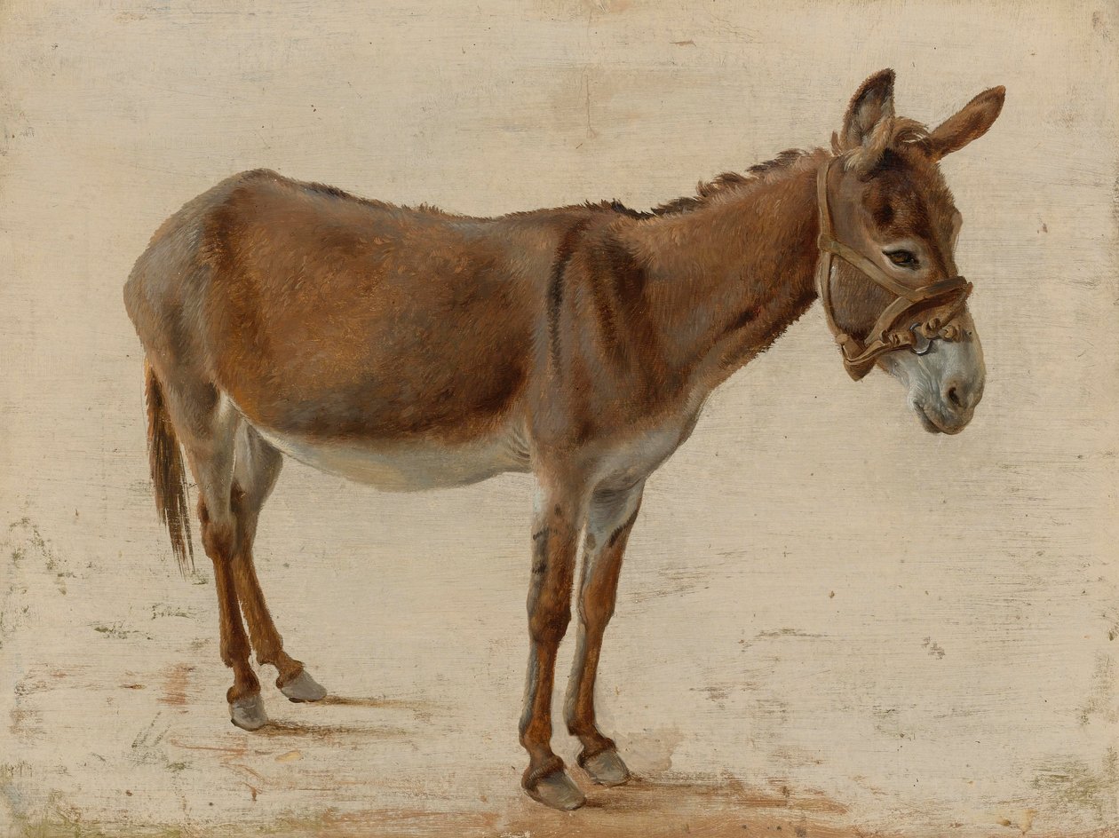 En åsna av Jacques Laurent Agasse