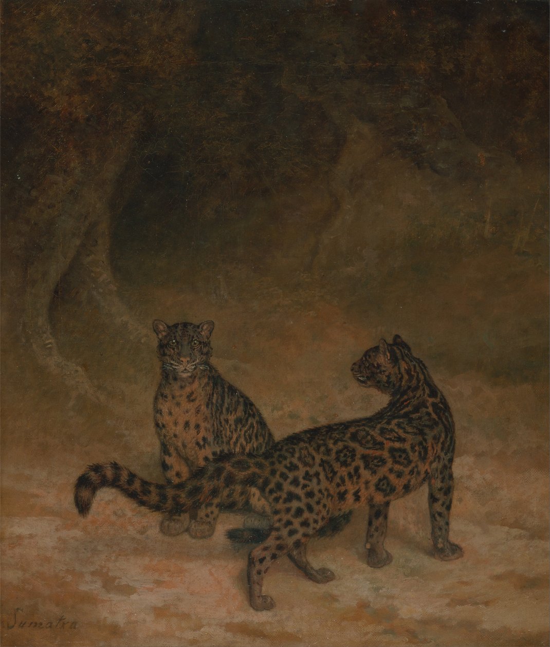 Molniga leoparder av Jacques Laurent Agasse
