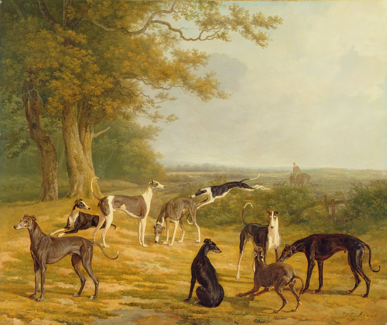 Nio vinthundar i ett landskap av Jacques Laurent Agasse