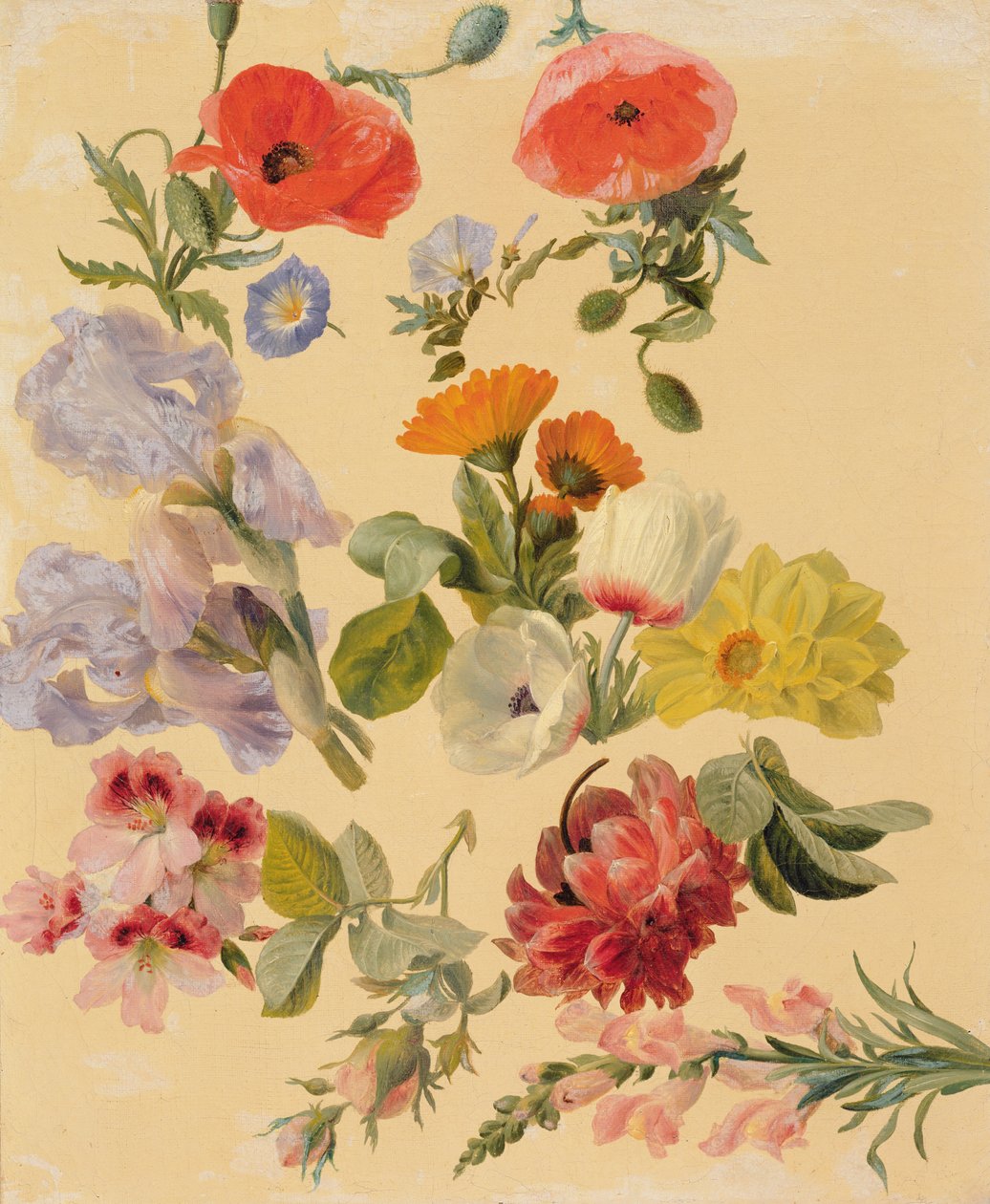 Studier av sommarblommor av Jacques Laurent Agasse