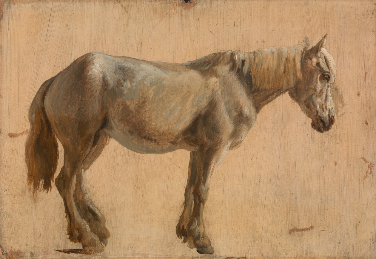 Studie av en grå häst av Jacques Laurent Agasse