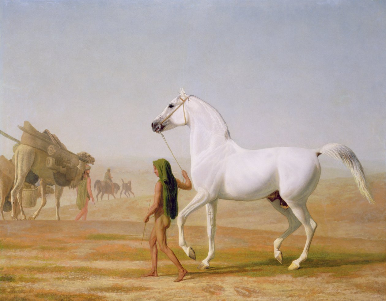 Wellesley Grey Arabian ledde genom öknen, ca 1810 av Jacques Laurent Agasse
