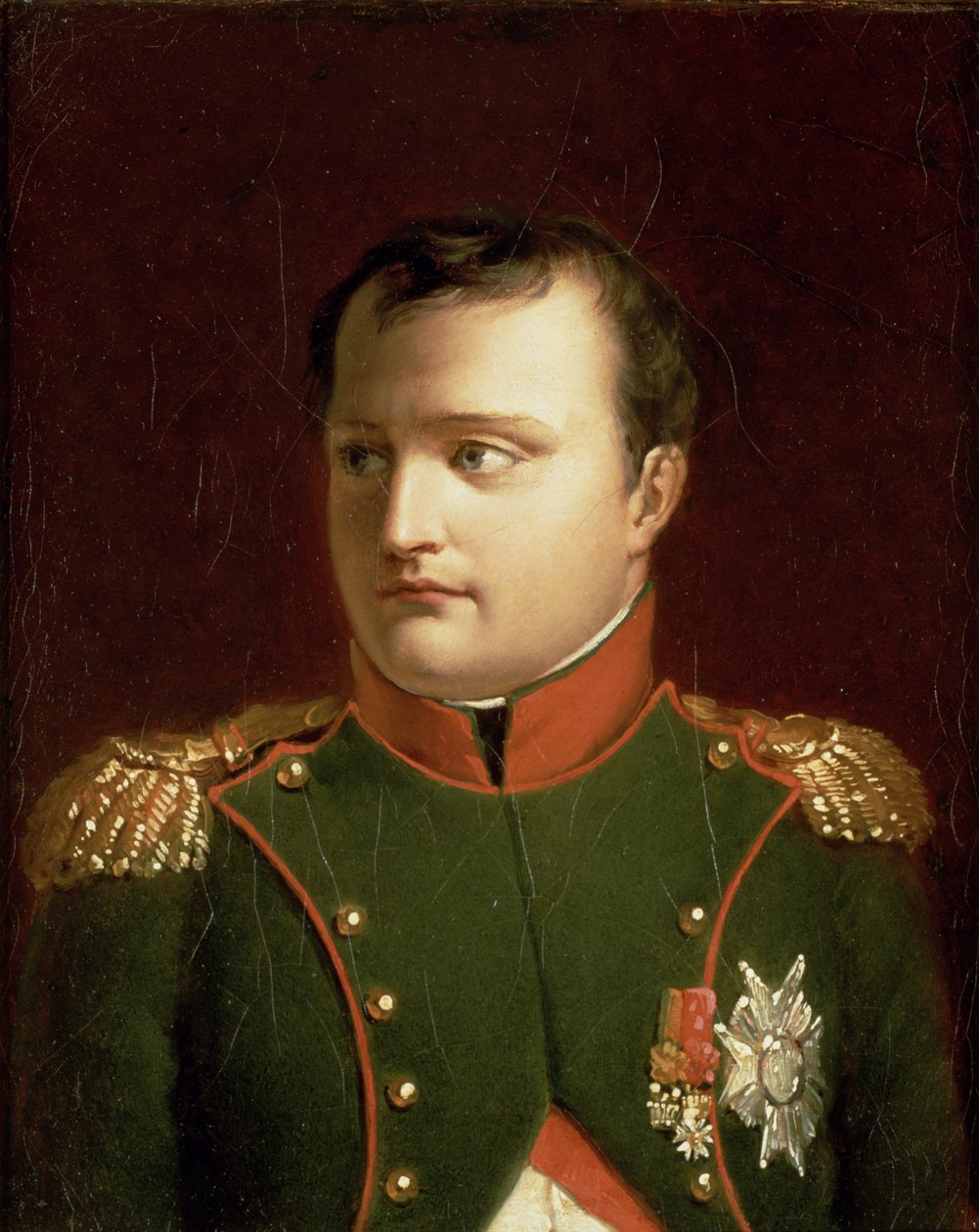 Napoleon Bonaparte (1769-1821) (olja) av Jacques Louis David