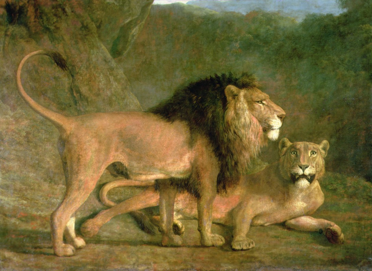 Ett lejon och en lejoninna i en klippig dal (olja på duk) av Jacques Laurent Agasse