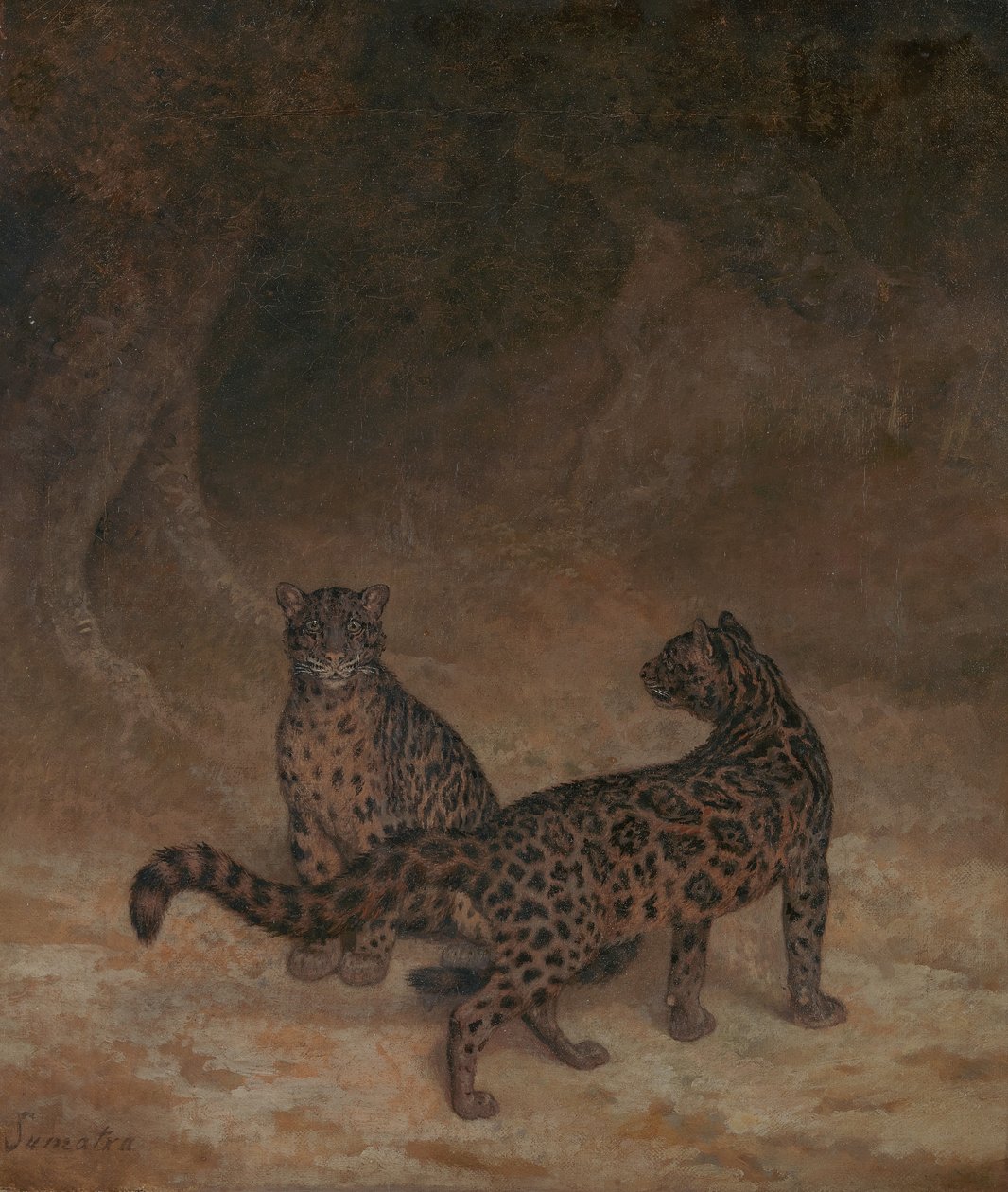 Molniga leoparder av Jacques-Laurent Agasse