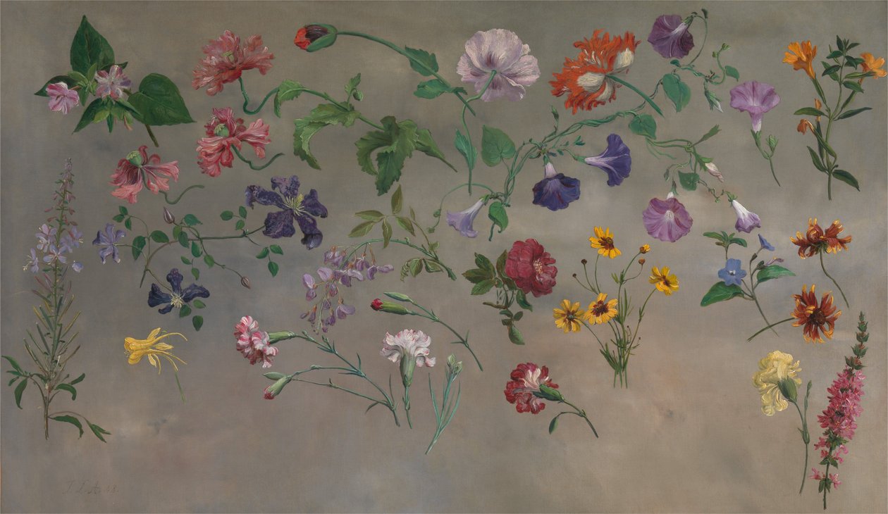 Studies of Flowers [1985, Cormack, YCBA Concise Catalogue] av Jacques-Laurent Agasse