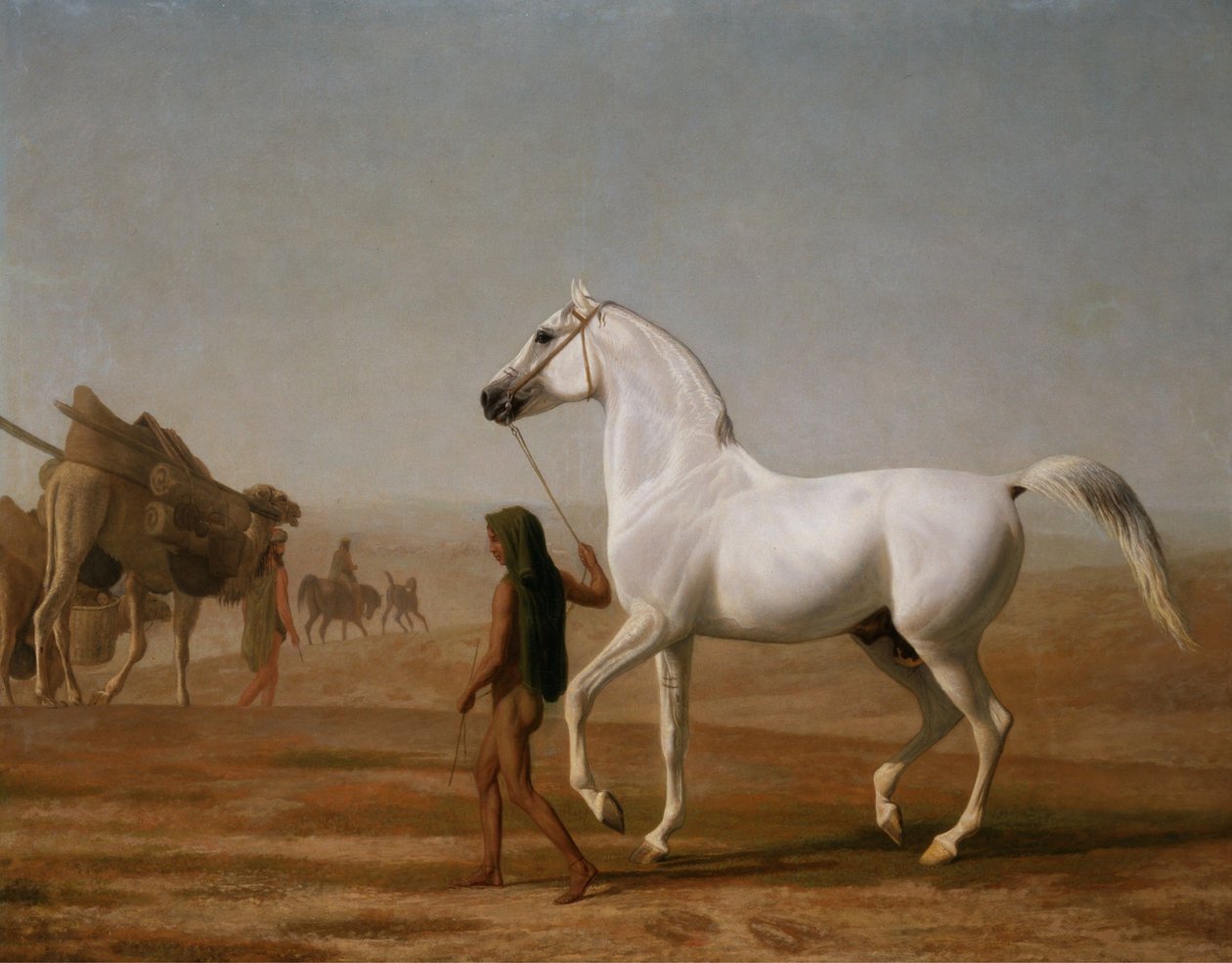 Wellesley Grey Arabian ledde genom öknen av Jacques-Laurent Agasse