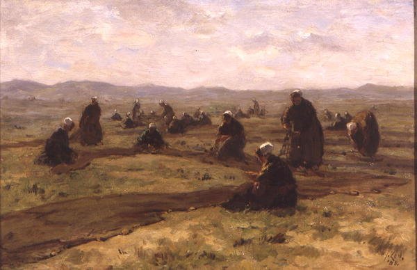 Lagningsnät (olja på panel) av Jacques Abraham Zon