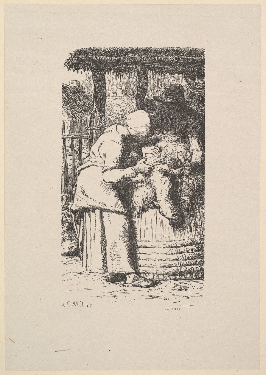Fårklippning, 1853. av Jacques Adrien Lavieille