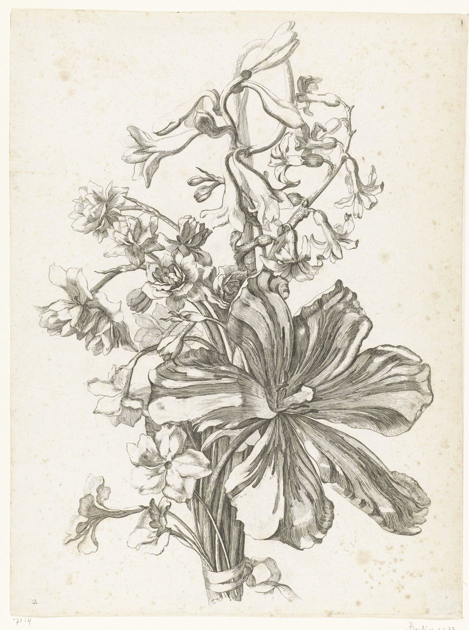 Bukett med en tulpan, en hyacint, brodiaea och påskliljor Diverses Fleurs mises en Boucquets (serietitel) av Jacques Bailly (I)