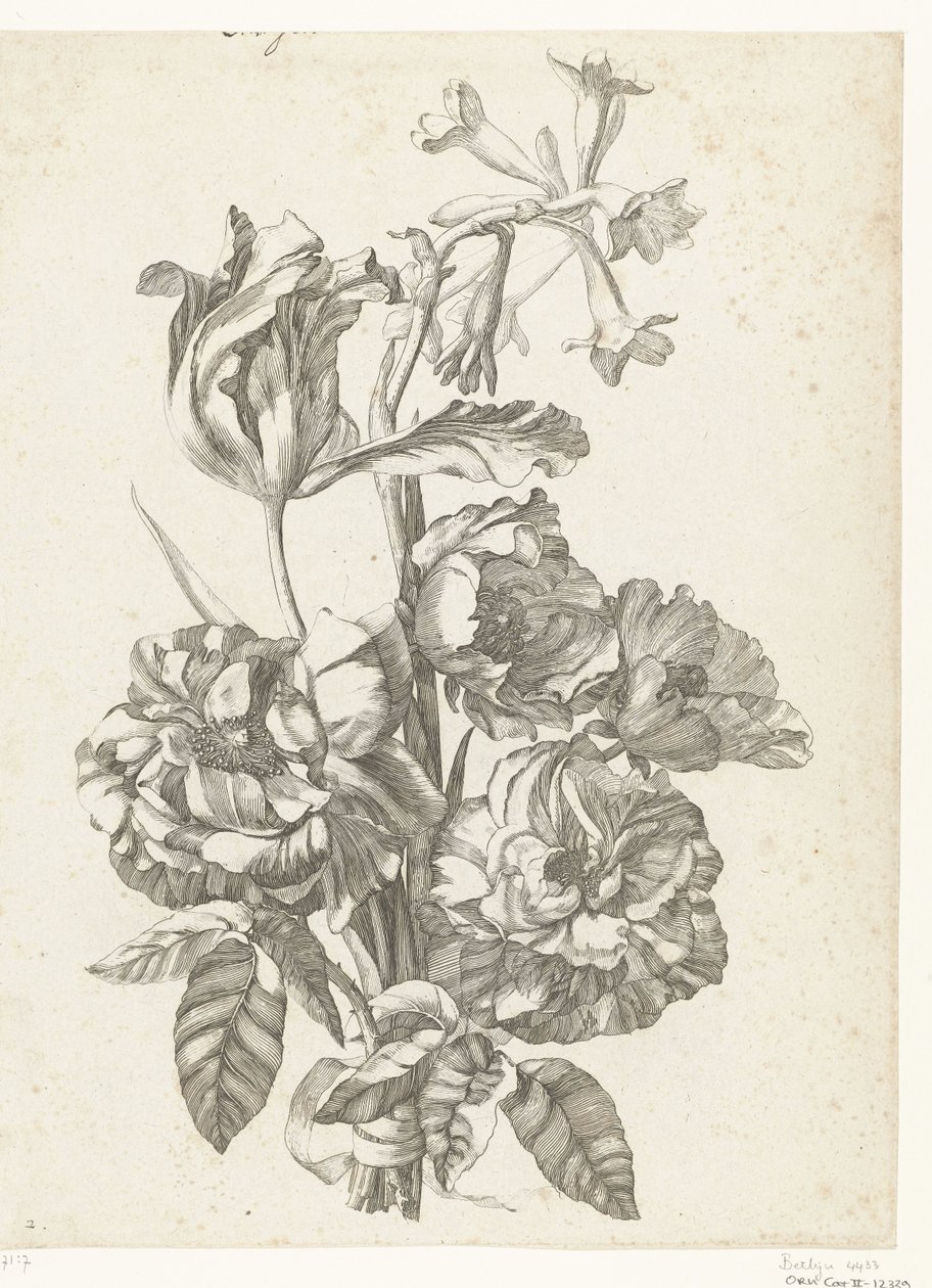 Bukett med pioner, en tulpan och en brodiaea Diverse Fleurs mises en Boucquets (serietitel) av Jacques Bailly (I)