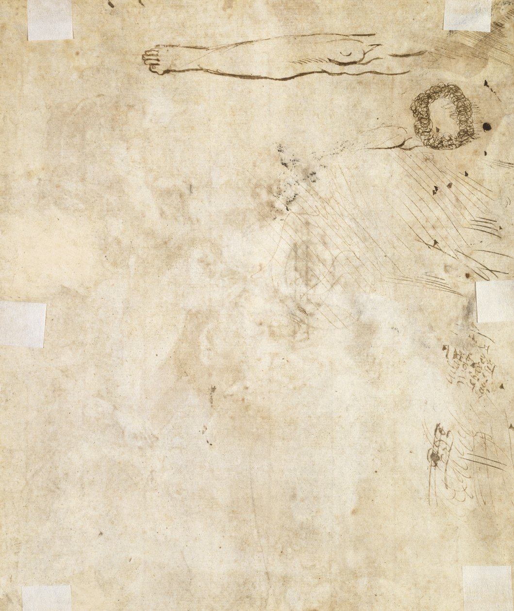 Studie av ett ben, blomstra och doodles, 1610-17 av Jacques Bellange